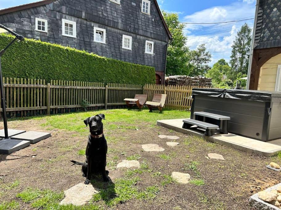 Ferienwohnung Ornella Mit Sauna, Whirlpool Großschönau Kültér fotó